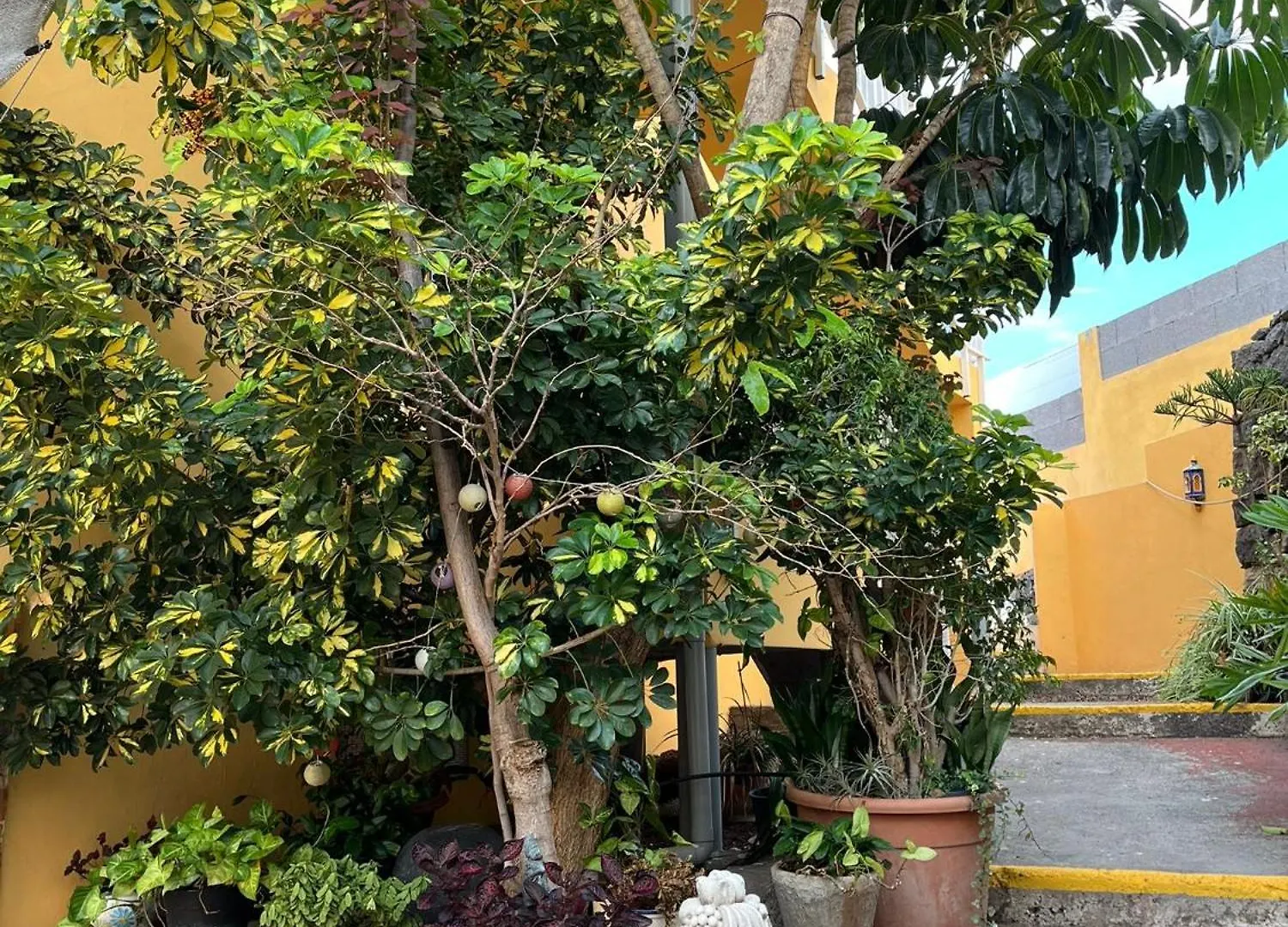 Two-Bedroom House At Villa Lila 푸에르토 드 라 크루즈 0*,